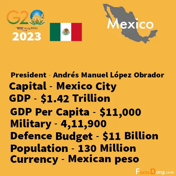 Mexico G20