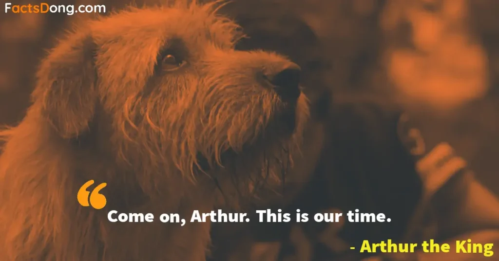 Arthur the King Movie Quotes