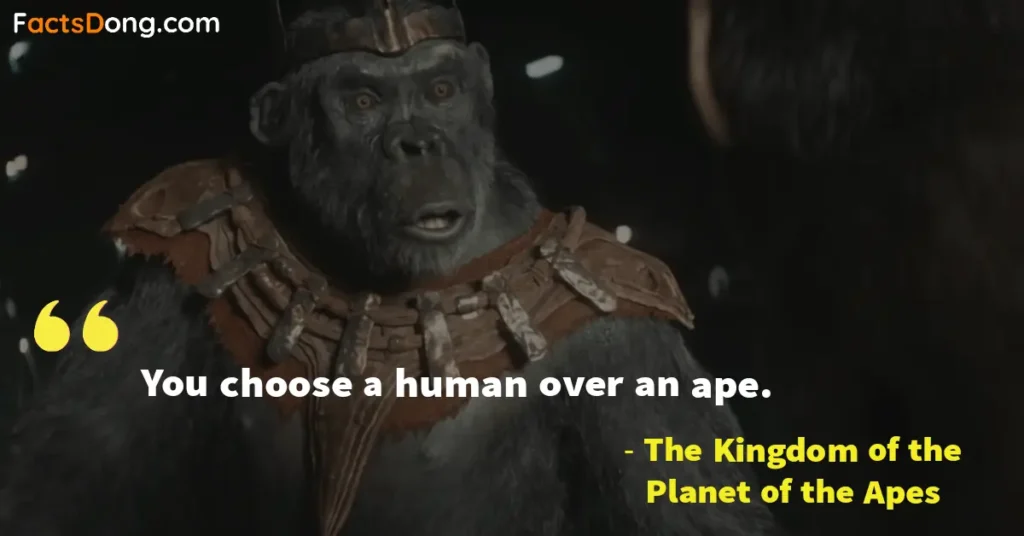 The Kingdom of the Planet of the Apes Film Dialogues